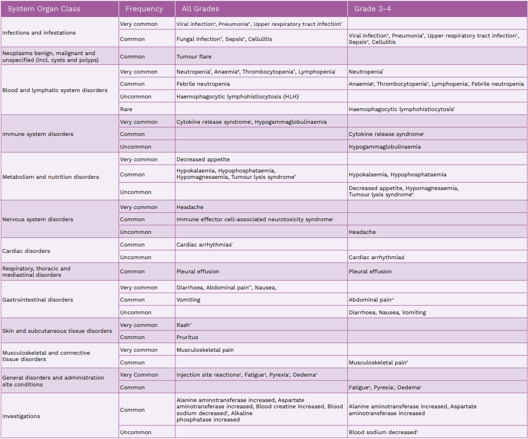 safety profile table